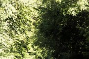 23. IMS Odenwald-Classic 2014 - www.smk-photography.de
