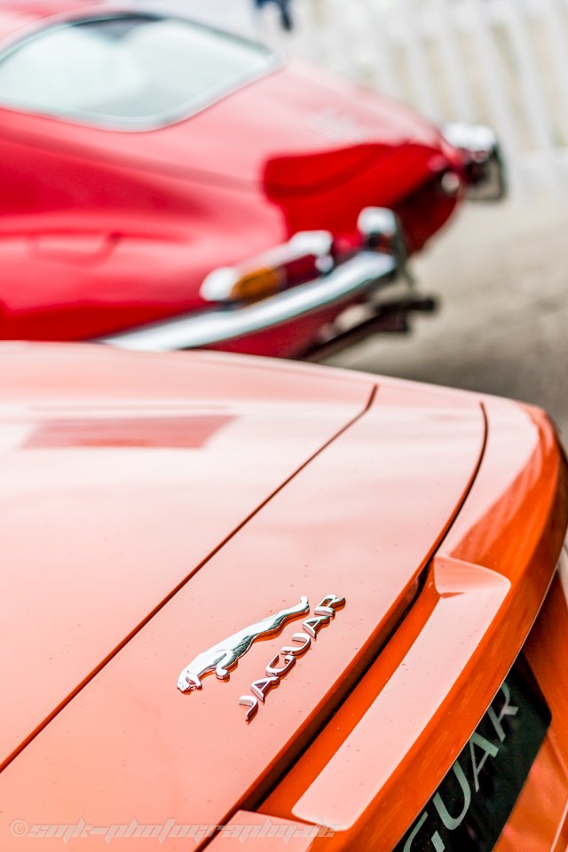 jaguar e-type vs. f-type @ Pfungstdter Oldtimertreff - www.rallyelive.de.vu