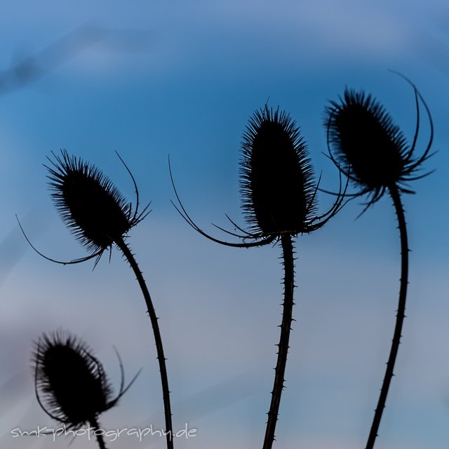 erlache, bensheim - www.smk-photography.de