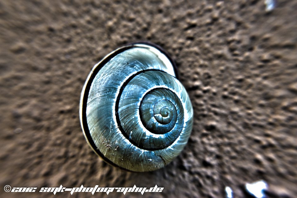 schnegge HDR2