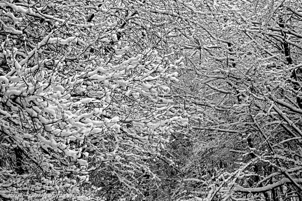 winter @ erzberg fuerth