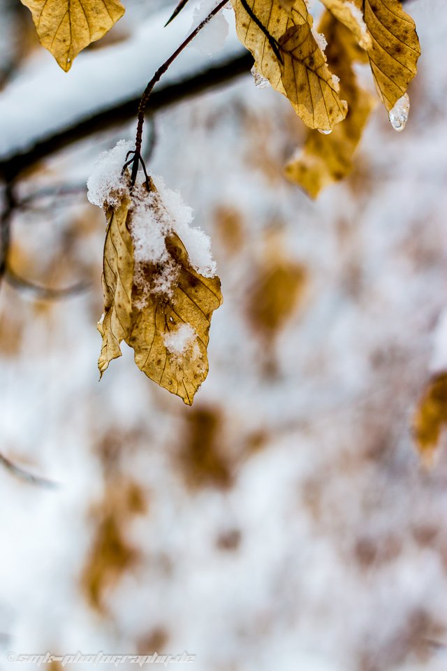 winter @ erzberg fuerth