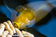 IMG 0729 : Action, Animal, Architecture, Automotive, Bild, Canon, Cars, DSLR, Fisch, Fish, Foto, Fotografie, Mode, Nature, Panorama, Photography, Sascha Kraeger, Shift, Street, Tilt, Wasser, Water, hdr, high dynamic range, landscape, motorsport, rallye, smk-photography.de, smk-photography.de www.smk-photography.de Sascha Kraeger Fotografie Photography Foto Bild DSLR Canon HDR High Dynamic Range Tilt Shift Action Landscape Nature Animal Architecture Street Mode Cars Motorsport Rallye Automotive Panorama Fish Water Wasser Fisch, www.smk-photography.de