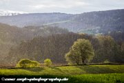 IMG 1131 : Action, Animal, Architecture, Automotive, Bild, Canon, Cars, DSLR, Fisch, Fish, Foto, Fotografie, Mode, Nature, Panorama, Photography, Sascha Kraeger, Shift, Street, Tilt, Wasser, Water, hdr, high dynamic range, landscape, motorsport, rallye, smk-photography.de, smk-photography.de www.smk-photography.de Sascha Kraeger Fotografie Photography Foto Bild DSLR Canon HDR High Dynamic Range Tilt Shift Action Landscape Nature Animal Architecture Street Mode Cars Motorsport Rallye Automotive Panorama Fish Water Wasser Fisch, www.smk-photography.de