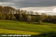 IMG 1132 : Action, Animal, Architecture, Automotive, Bild, Canon, Cars, DSLR, Fisch, Fish, Foto, Fotografie, Mode, Nature, Panorama, Photography, Sascha Kraeger, Shift, Street, Tilt, Wasser, Water, hdr, high dynamic range, landscape, motorsport, rallye, smk-photography.de, smk-photography.de www.smk-photography.de Sascha Kraeger Fotografie Photography Foto Bild DSLR Canon HDR High Dynamic Range Tilt Shift Action Landscape Nature Animal Architecture Street Mode Cars Motorsport Rallye Automotive Panorama Fish Water Wasser Fisch, www.smk-photography.de