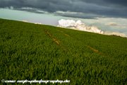 IMG 1156 : Action, Animal, Architecture, Automotive, Bild, Canon, Cars, DSLR, Fisch, Fish, Foto, Fotografie, Mode, Nature, Panorama, Photography, Sascha Kraeger, Shift, Street, Tilt, Wasser, Water, hdr, high dynamic range, landscape, motorsport, rallye, smk-photography.de, smk-photography.de www.smk-photography.de Sascha Kraeger Fotografie Photography Foto Bild DSLR Canon HDR High Dynamic Range Tilt Shift Action Landscape Nature Animal Architecture Street Mode Cars Motorsport Rallye Automotive Panorama Fish Water Wasser Fisch, www.smk-photography.de