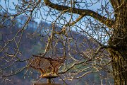 IMG 1162 : Action, Animal, Architecture, Automotive, Bild, Canon, Cars, DSLR, Fisch, Fish, Foto, Fotografie, Mode, Nature, Panorama, Photography, Sascha Kraeger, Shift, Street, Tilt, Wasser, Water, hdr, high dynamic range, landscape, motorsport, rallye, smk-photography.de, smk-photography.de www.smk-photography.de Sascha Kraeger Fotografie Photography Foto Bild DSLR Canon HDR High Dynamic Range Tilt Shift Action Landscape Nature Animal Architecture Street Mode Cars Motorsport Rallye Automotive Panorama Fish Water Wasser Fisch, www.smk-photography.de