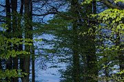 IMG 1219 : Action, Animal, Architecture, Automotive, Bild, Canon, Cars, DSLR, Fisch, Fish, Foto, Fotografie, Mode, Nature, Panorama, Photography, Sascha Kraeger, Shift, Street, Tilt, Wasser, Water, hdr, high dynamic range, landscape, motorsport, rallye, smk-photography.de, smk-photography.de www.smk-photography.de Sascha Kraeger Fotografie Photography Foto Bild DSLR Canon HDR High Dynamic Range Tilt Shift Action Landscape Nature Animal Architecture Street Mode Cars Motorsport Rallye Automotive Panorama Fish Water Wasser Fisch, www.smk-photography.de