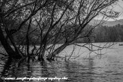 IMG 1589 : Action, Animal, Architecture, Automotive, Bild, Canon, Cars, DSLR, Fisch, Fish, Foto, Fotografie, Mode, Nature, Panorama, Photography, Sascha Kraeger, Shift, Street, Tilt, Wasser, Water, hdr, high dynamic range, landscape, motorsport, rallye, smk-photography.de, smk-photography.de www.smk-photography.de Sascha Kraeger Fotografie Photography Foto Bild DSLR Canon HDR High Dynamic Range Tilt Shift Action Landscape Nature Animal Architecture Street Mode Cars Motorsport Rallye Automotive Panorama Fish Water Wasser Fisch, www.smk-photography.de