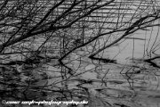 IMG 1605 : Action, Animal, Architecture, Automotive, Bild, Canon, Cars, DSLR, Fisch, Fish, Foto, Fotografie, Mode, Nature, Panorama, Photography, Sascha Kraeger, Shift, Street, Tilt, Wasser, Water, hdr, high dynamic range, landscape, motorsport, rallye, smk-photography.de, smk-photography.de www.smk-photography.de Sascha Kraeger Fotografie Photography Foto Bild DSLR Canon HDR High Dynamic Range Tilt Shift Action Landscape Nature Animal Architecture Street Mode Cars Motorsport Rallye Automotive Panorama Fish Water Wasser Fisch, www.smk-photography.de