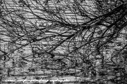 IMG 1693 : Action, Animal, Architecture, Automotive, Bild, Canon, Cars, DSLR, Fisch, Fish, Foto, Fotografie, Mode, Nature, Panorama, Photography, Sascha Kraeger, Shift, Street, Tilt, Wasser, Water, hdr, high dynamic range, landscape, motorsport, rallye, smk-photography.de, smk-photography.de www.smk-photography.de Sascha Kraeger Fotografie Photography Foto Bild DSLR Canon HDR High Dynamic Range Tilt Shift Action Landscape Nature Animal Architecture Street Mode Cars Motorsport Rallye Automotive Panorama Fish Water Wasser Fisch, www.smk-photography.de