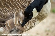 IMG 1726 : Action, Animal, Architecture, Automotive, Bild, Canon, Cars, DSLR, Fisch, Fish, Foto, Fotografie, Mode, Nature, Panorama, Photography, Sascha Kraeger, Shift, Street, Tilt, Wasser, Water, hdr, high dynamic range, landscape, motorsport, rallye, smk-photography.de, smk-photography.de www.smk-photography.de Sascha Kraeger Fotografie Photography Foto Bild DSLR Canon HDR High Dynamic Range Tilt Shift Action Landscape Nature Animal Architecture Street Mode Cars Motorsport Rallye Automotive Panorama Fish Water Wasser Fisch, www.smk-photography.de