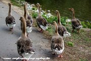 IMG 1763 : Action, Animal, Architecture, Automotive, Bild, Canon, Cars, DSLR, Fisch, Fish, Foto, Fotografie, Mode, Nature, Panorama, Photography, Sascha Kraeger, Shift, Street, Tilt, Wasser, Water, hdr, high dynamic range, landscape, motorsport, rallye, smk-photography.de, smk-photography.de www.smk-photography.de Sascha Kraeger Fotografie Photography Foto Bild DSLR Canon HDR High Dynamic Range Tilt Shift Action Landscape Nature Animal Architecture Street Mode Cars Motorsport Rallye Automotive Panorama Fish Water Wasser Fisch, www.smk-photography.de
