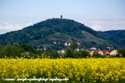 IMG 1870 : Action, Animal, Architecture, Automotive, Bild, Canon, Cars, DSLR, Fisch, Fish, Foto, Fotografie, Mode, Nature, Panorama, Photography, Sascha Kraeger, Shift, Street, Tilt, Wasser, Water, hdr, high dynamic range, landscape, motorsport, rallye, smk-photography.de, smk-photography.de www.smk-photography.de Sascha Kraeger Fotografie Photography Foto Bild DSLR Canon HDR High Dynamic Range Tilt Shift Action Landscape Nature Animal Architecture Street Mode Cars Motorsport Rallye Automotive Panorama Fish Water Wasser Fisch, www.smk-photography.de