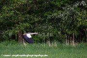 IMG 1886 : Action, Animal, Architecture, Automotive, Bild, Canon, Cars, DSLR, Fisch, Fish, Foto, Fotografie, Mode, Nature, Panorama, Photography, Sascha Kraeger, Shift, Street, Tilt, Wasser, Water, hdr, high dynamic range, landscape, motorsport, rallye, smk-photography.de, smk-photography.de www.smk-photography.de Sascha Kraeger Fotografie Photography Foto Bild DSLR Canon HDR High Dynamic Range Tilt Shift Action Landscape Nature Animal Architecture Street Mode Cars Motorsport Rallye Automotive Panorama Fish Water Wasser Fisch, www.smk-photography.de