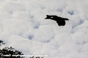 IMG 1903 : Action, Animal, Architecture, Automotive, Bild, Canon, Cars, DSLR, Fisch, Fish, Foto, Fotografie, Mode, Nature, Panorama, Photography, Sascha Kraeger, Shift, Street, Tilt, Wasser, Water, hdr, high dynamic range, landscape, motorsport, rallye, smk-photography.de, smk-photography.de www.smk-photography.de Sascha Kraeger Fotografie Photography Foto Bild DSLR Canon HDR High Dynamic Range Tilt Shift Action Landscape Nature Animal Architecture Street Mode Cars Motorsport Rallye Automotive Panorama Fish Water Wasser Fisch, www.smk-photography.de