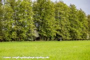 IMG 1909 : Action, Animal, Architecture, Automotive, Bild, Canon, Cars, DSLR, Fisch, Fish, Foto, Fotografie, Mode, Nature, Panorama, Photography, Sascha Kraeger, Shift, Street, Tilt, Wasser, Water, hdr, high dynamic range, landscape, motorsport, rallye, smk-photography.de, smk-photography.de www.smk-photography.de Sascha Kraeger Fotografie Photography Foto Bild DSLR Canon HDR High Dynamic Range Tilt Shift Action Landscape Nature Animal Architecture Street Mode Cars Motorsport Rallye Automotive Panorama Fish Water Wasser Fisch, www.smk-photography.de