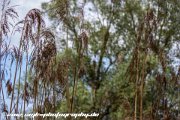 IMG 1914 : Action, Animal, Architecture, Automotive, Bild, Canon, Cars, DSLR, Fisch, Fish, Foto, Fotografie, Mode, Nature, Panorama, Photography, Sascha Kraeger, Shift, Street, Tilt, Wasser, Water, hdr, high dynamic range, landscape, motorsport, rallye, smk-photography.de, smk-photography.de www.smk-photography.de Sascha Kraeger Fotografie Photography Foto Bild DSLR Canon HDR High Dynamic Range Tilt Shift Action Landscape Nature Animal Architecture Street Mode Cars Motorsport Rallye Automotive Panorama Fish Water Wasser Fisch, www.smk-photography.de