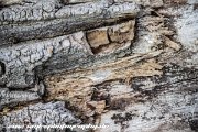 IMG 1931 : Action, Animal, Architecture, Automotive, Bild, Canon, Cars, DSLR, Fisch, Fish, Foto, Fotografie, Mode, Nature, Panorama, Photography, Sascha Kraeger, Shift, Street, Tilt, Wasser, Water, hdr, high dynamic range, landscape, motorsport, rallye, smk-photography.de, smk-photography.de www.smk-photography.de Sascha Kraeger Fotografie Photography Foto Bild DSLR Canon HDR High Dynamic Range Tilt Shift Action Landscape Nature Animal Architecture Street Mode Cars Motorsport Rallye Automotive Panorama Fish Water Wasser Fisch, www.smk-photography.de