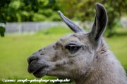 IMG 2317