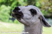 IMG 2324