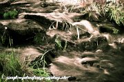 dark waters 2