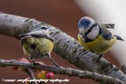 IMG 9551 : Action, Animal, Architecture, Automotive, Bild, Canon, Cars, DSLR, Fisch, Fish, Foto, Fotografie, Mode, Nature, Panorama, Photography, Sascha Kraeger, Shift, Street, Tilt, Wasser, Water, hdr, high dynamic range, landscape, motorsport, rallye, smk-photography.de, smk-photography.de www.smk-photography.de Sascha Kraeger Fotografie Photography Foto Bild DSLR Canon HDR High Dynamic Range Tilt Shift Action Landscape Nature Animal Architecture Street Mode Cars Motorsport Rallye Automotive Panorama Fish Water Wasser Fisch, www.smk-photography.de