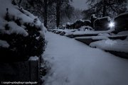 cemetery-fuerth-smk-photography.de-2981