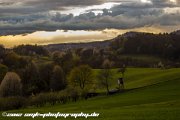 rainy-sunset-kunstweg-fuerth-IMG 1179 : Action, Animal, Architecture, Automotive, Bild, Canon, Cars, DSLR, Fisch, Fish, Foto, Fotografie, Mode, Nature, Panorama, Photography, Sascha Kraeger, Shift, Street, Tilt, Wasser, Water, hdr, high dynamic range, landscape, motorsport, rallye, smk-photography.de, smk-photography.de www.smk-photography.de Sascha Kraeger Fotografie Photography Foto Bild DSLR Canon HDR High Dynamic Range Tilt Shift Action Landscape Nature Animal Architecture Street Mode Cars Motorsport Rallye Automotive Panorama Fish Water Wasser Fisch, www.smk-photography.de