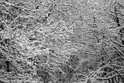 snow-erzberg-fuerth-odenwald-smk-photography.de-.jpg