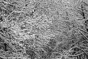 winter @ erzberg fuerth