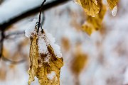 winter @ erzberg fuerth
