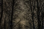 streetlights-smk-photography.de-3042