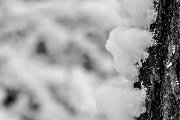 winter @ erzberg fuerth