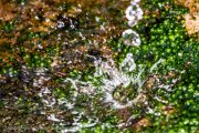 splash-smk-photography.de-6089.jpg