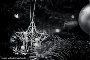 xmas-smk-photography.de-3155.jpg