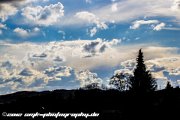 IMG 1056 : Action, Animal, Architecture, Automotive, Bild, Canon, Cars, DSLR, Fisch, Fish, Foto, Fotografie, Mode, Nature, Panorama, Photography, Sascha Kraeger, Shift, Street, Tilt, Wasser, Water, hdr, high dynamic range, landscape, motorsport, rallye, smk-photography.de, smk-photography.de www.smk-photography.de Sascha Kraeger Fotografie Photography Foto Bild DSLR Canon HDR High Dynamic Range Tilt Shift Action Landscape Nature Animal Architecture Street Mode Cars Motorsport Rallye Automotive Panorama Fish Water Wasser Fisch, www.smk-photography.de