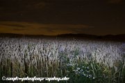 IMG 8436