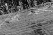 26. Calwer ENCW Triathlon 2014 - www.smk-photography.de