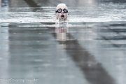 26. Calwer ENCW Triathlon 2014 - www.smk-photography.de