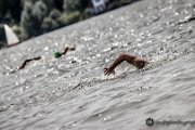 Mhnesee Triathlon 2014 - www.smk-photography.de