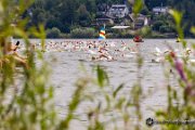 Mhnesee Triathlon 2014 - www.smk-photography.de