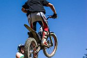 trial erlenbach