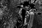 trial erlenbach