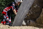 trial erlenbach