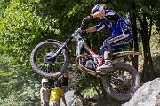 trial erlenbach