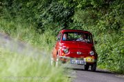 22.-ims-odenwald-classics-2013-rallyelive.de.vu-6385.jpg