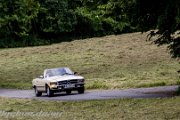 22.-ims-odenwald-classics-2013-rallyelive.de.vu-6441.jpg