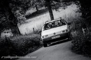 22.-ims-odenwald-classics-2013-rallyelive.de.vu-6615.jpg