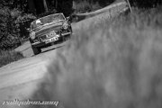 23.-ims-schlierbach-odenwald-classic-2014-rallyelive.com-7704.jpg